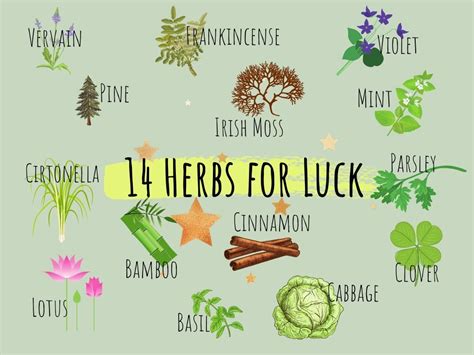 Wicca herbs for repelling harm